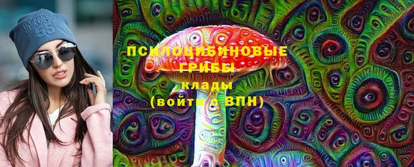 герыч Белая Холуница