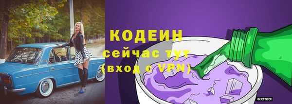 спайс Нея