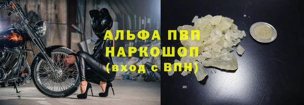 эйфоретик Нефтекумск