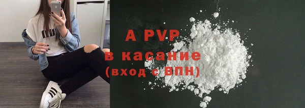 спайс Нея