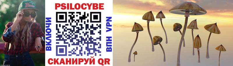 Псилоцибиновые грибы Cubensis  Нижняя Тура 